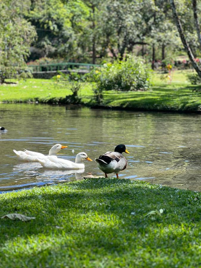 La Casa De Los Patos El Valle de Anton Eksteriør billede